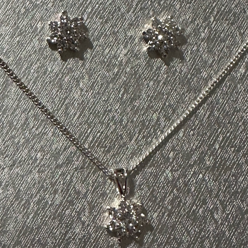 Silver Floral Jewelry Set - NIB